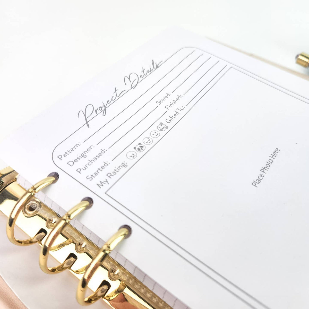 Project Journal