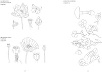 Kew Book of Nature Samplers