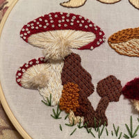 Mushie Sampler