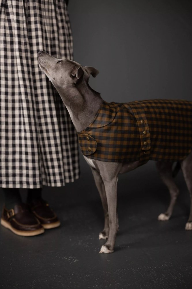 The Barka Pattern