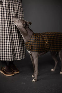 The Barka Pattern