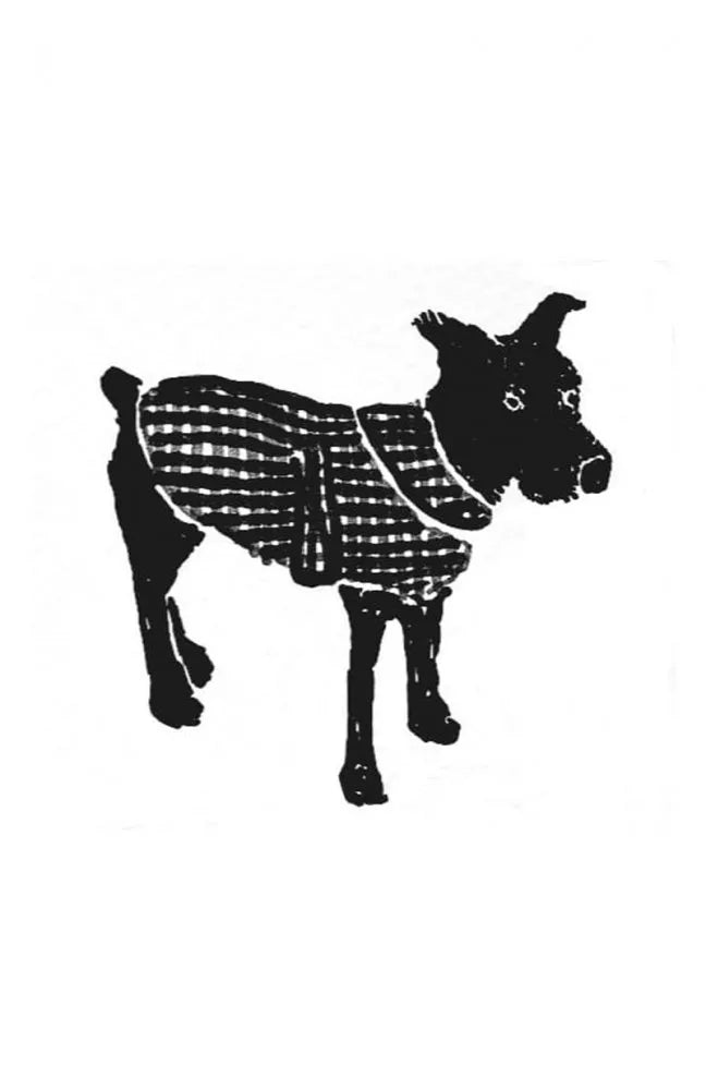 The Barka Pattern