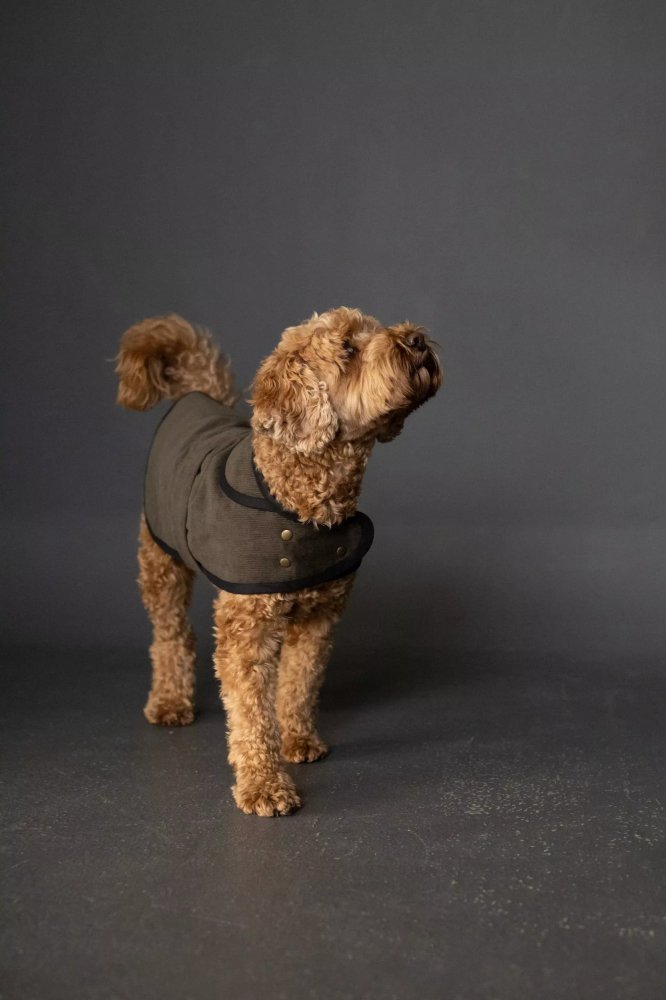 The Barka Pattern