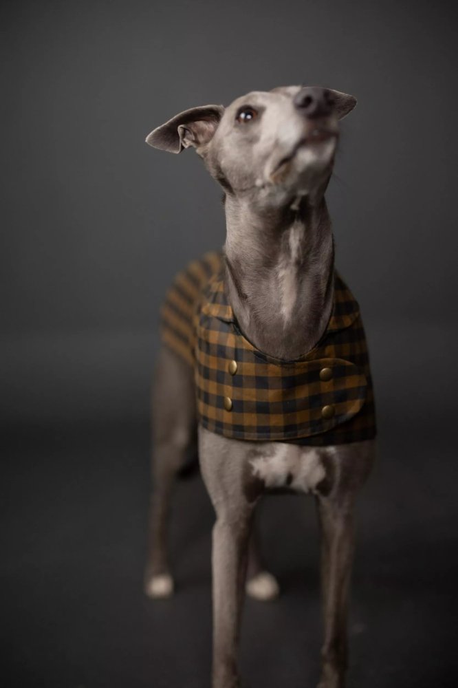 The Barka Pattern