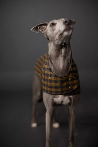 The Barka Pattern