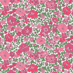 Flower Show MS Arley Garden D